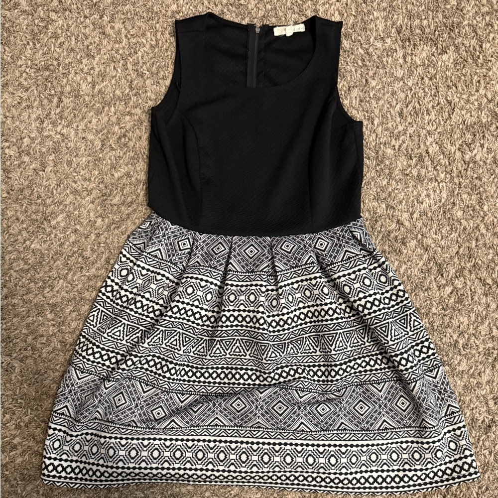 Rewind Black and White Pleated A-Line Dress